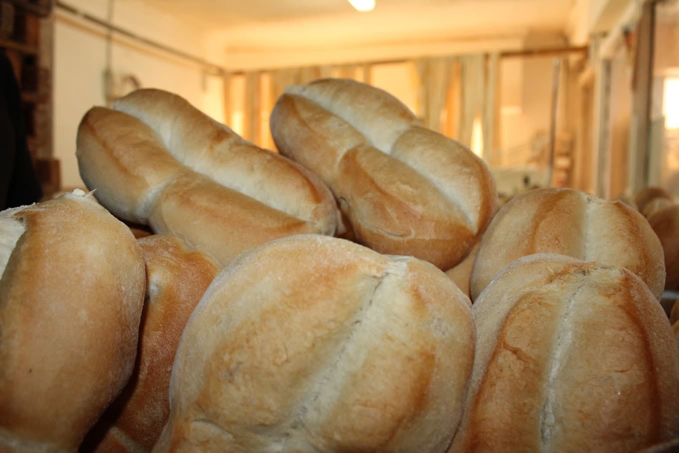 Marraquetas recién horneadas